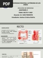 Anatomia Exposicion Recto y Ano