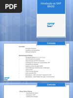 Sap - Introdução Ao Sap Basis