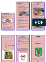 Leaflet ISPA