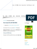 How To Launch The SAP CRM WEBUI