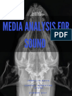 Media Analysis For Sound