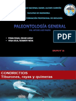 Paleontologia Condrictios Osteoictios