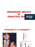 Cromatina Sexuala