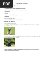 Especialidad en Perros Lista