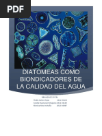 Diatomeas Como Bioindicadores