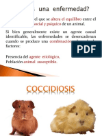 Coccidiosis Ssssss