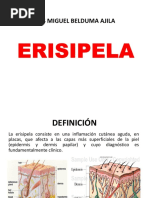 Erisipela PDF