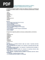 PALABRAS Coment Morfologico-3 PDF