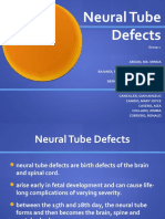 Neural Tube Defects: Group 1