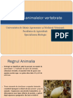 Evoluția Animalelor Vertebrate