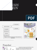 Sintesis Protein