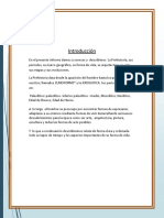 Informe Prehistoria