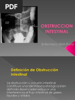 Obstruccion Intestinal