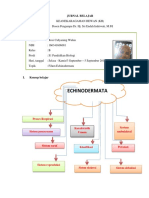 Jurnal Belajar