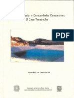 2008 Honorio Pinto Herrera Estado Mineria y Comunidades Campesinas El Caso Yanacocha