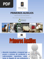 Primeros Auxilios 2017