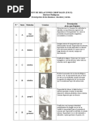 Descripcio N de Laminas, Vinculos y Series (TRO)