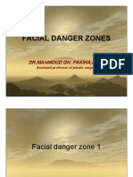 Facial Danger Zones