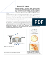Potencial de Reposo y Equilibrio