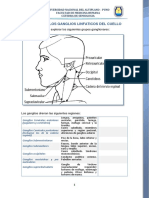 Examen de Ganglios Del Cuello