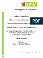 Investigacion de Las Garantias Constitucionales