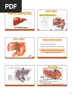 Doenças Hepáticas NCI