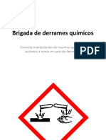 Brigada de Derrames Químicos