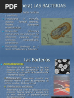 11 - Las Bacterias 2014 PDF