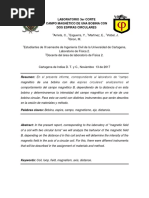 Informe de Fisica 2