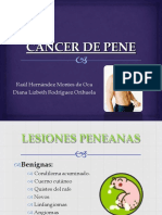 Clase Cancer de Pene