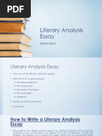 Literary Analysis Essay