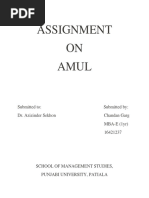 Assignment ON Amul