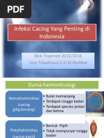 Infeksi Cacing Yang Penting Di Indonesia