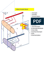 Caldera Circulación Natural