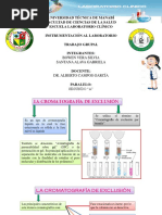 Cromatografia y Electroforesis