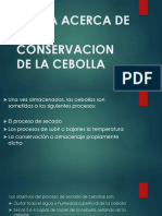 Teoria Acerca de La Conservacion de La Cebolla