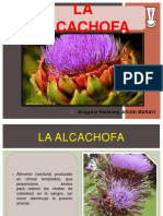 Alcachofa 1 PDF