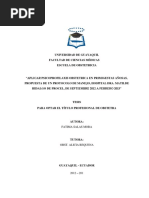 "Aplicar Psicoprofilaxis Obstetrica en Primigestas Añosas