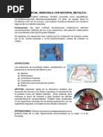 Protesis Parcial Removible Con Material Metalico