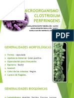 Clostridium Perfringens