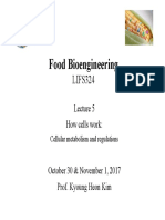 Food Bioengineering: LIFS324