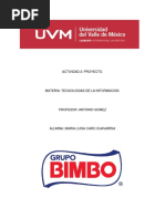 Actividad 2 Grupo Bimbo