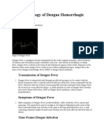 Pathophysiology of Dengue Hemorrhagic Fever