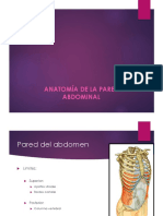 Anatomia de La Pared Abdominal