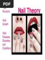 Nail Theory