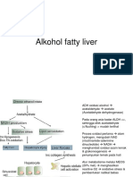 Alkohol Fatty Liver