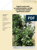 Informe Sobre Yerba Organica en Misiones PDF