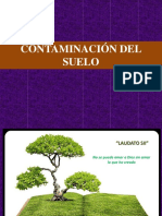 Contaminacion Del Suelo