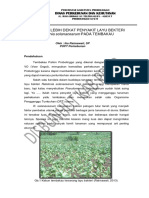 (276152602) Mengenal Lebih Dekat Penyakit Layu Bekteri Ralstonia Solanacearum