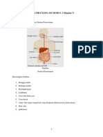 Hasil Praktikum Ipa SD - Struktur Sistem Pencernaan